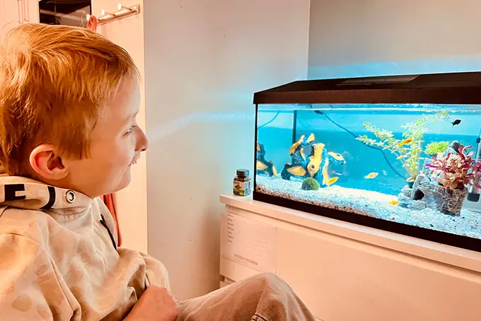 Dag van je Leven Dag van je Leven